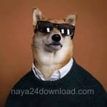 Avatar of Rimsha Qamar